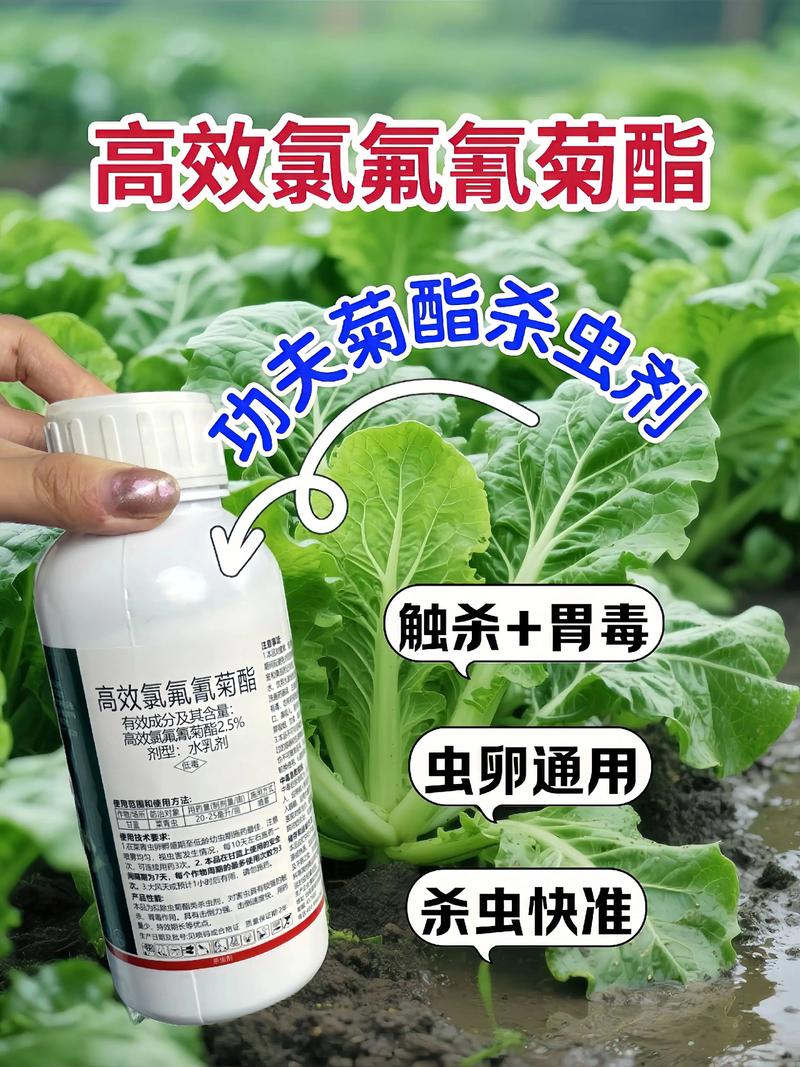 龙潭代生中心:农药对供卵代生妈妈的危害